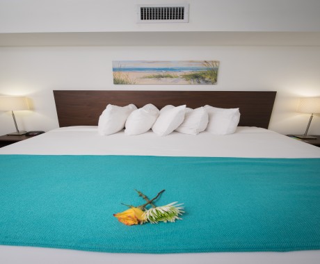 Regency Inn & Suites Sarasota - Pillow-Top King Bed