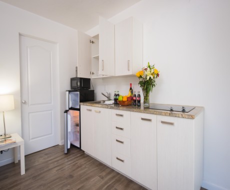 Regency Inn & Suites Sarasota - Guest Room Kitchenette